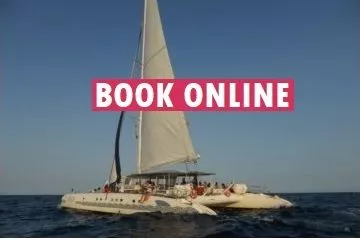 book a skyline catamaran cruise online