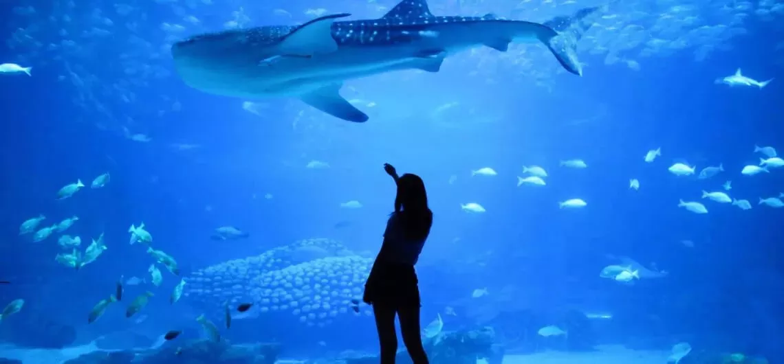 visit L’Aquarium de Barcelona
