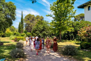 Penedès Private Tour Codorníu: Finca Batllori Winery Tour, Wine Tastings and Gourmet Pairings